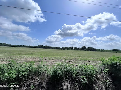 TBD Sonnier Rd unit 3-D, Church Point, LA 70525 - photo 5