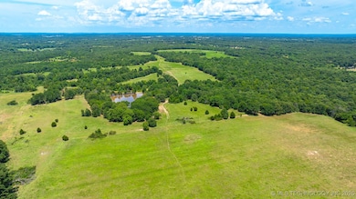 10849 S Sawmill Rd, Atoka, OK 74525 - photo 6