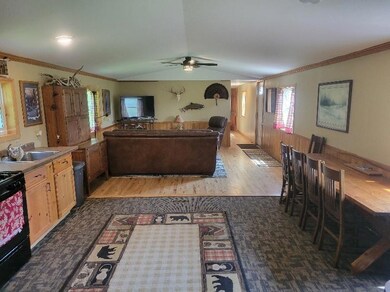 View From Kitchen to Living Room!
