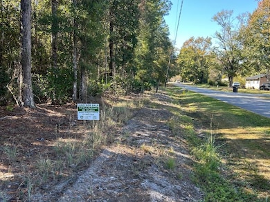 1700 Camden Ave, Woodbine, GA 31569 - photo 5