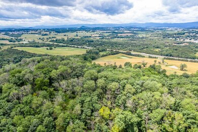 0 Rodeo Dr unit 587718, Harrisonburg, VA 22802 - photo 7