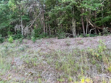 TBD D G Echerd Rd unit 2, Taylorsville, NC 28681 - photo 3