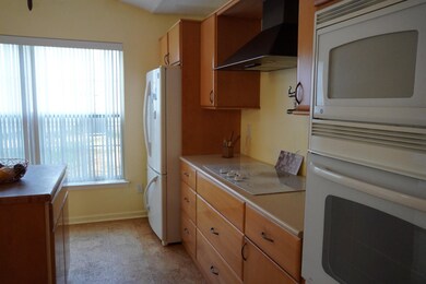 204 Yellow Jasmine Path, Apex, NC 27502 - photo 6