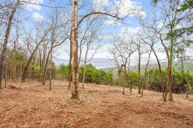Cleared Area