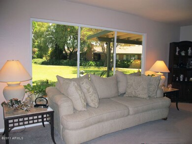 Living Room Window