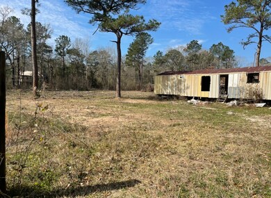 12700 Lewis Rd, Cleveland, TX 77328 - photo 4