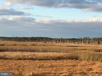 0 Lakesville Rd, Church Creek, MD 21622 - photo 7