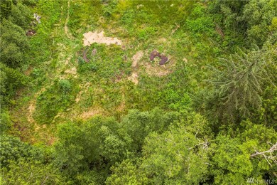 2648 Butler Creek Rd, Sedro Woolley, WA 98284 - photo 4