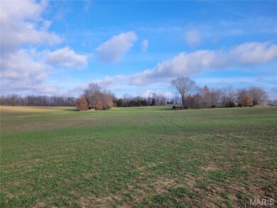 0 Bales Rd (81 8+ - Acres), Middletown, MO 63359 - photo 3