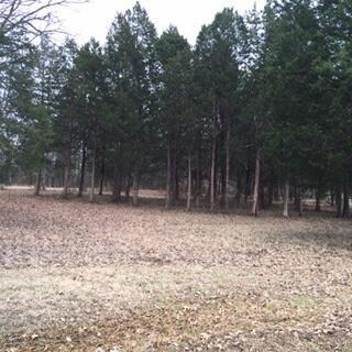 1 Ledbetter Rd, Shelbyville, TN 37160 - photo 4