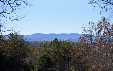 Additional View