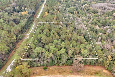 5040 Antioch Rd, Crestview, FL 32536 - photo 5