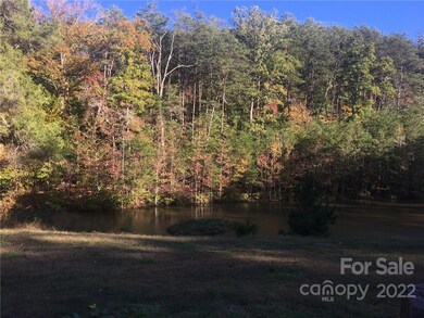 435 Misery Ridge Trail, Mill Spring, NC 28756 - photo 6