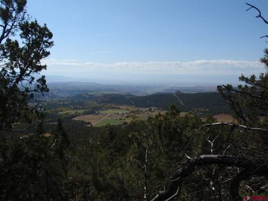 0 Squirrel Rock Rd unit 754418, Cedaredge, CO 81413 - photo 5
