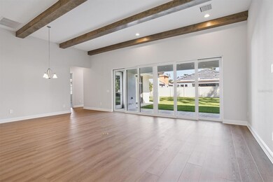 4538 Foley Grove Dr, Valrico, FL 33596 - photo 3