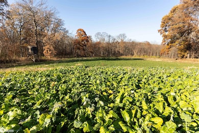 18781 125th St, Ottumwa, IA 52501 - photo 2