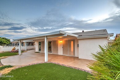 Low maintainace back yard!