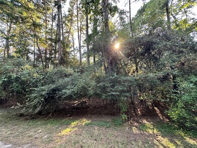 00 Mcdaniel Dr, Magnolia, TX 77354 - photo 7