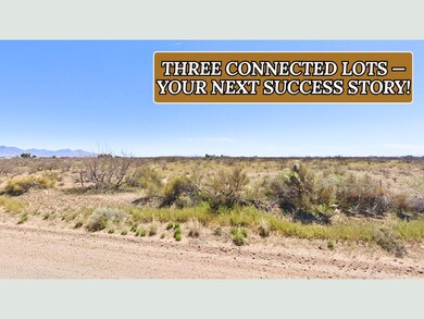 Sunshine Lun unit a New Mexico, Sunshine, NM 88030 - photo 3