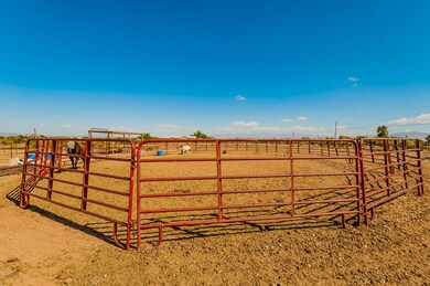 Plenty of room for exercise pen