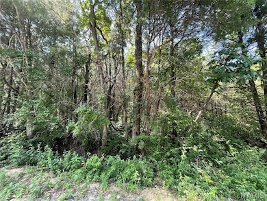 0 Red Bud unit MIS25053128, Catawissa, MO 63015 - photo 4