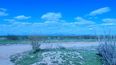 BLM Land