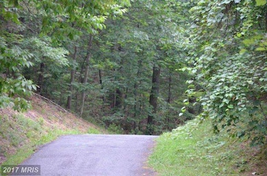 0 Lee Rd unit 1002574514, Basye, VA 22810 - photo 7