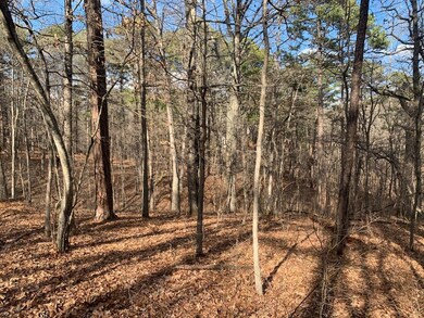 0 Abbotsley Ln, Bella Vista, AR 72714 - photo 3