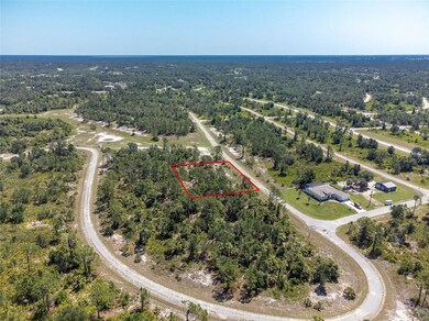 Property Lines not exact. Aerial view of Sheno Drive. New home on the corner.