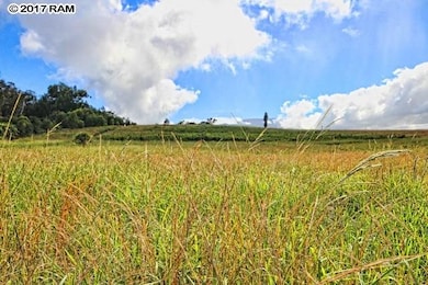 1 Paholei Rd, Makawao, HI 96768 - photo 7