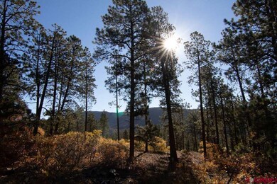 1067 Red Canyon Trail, Durango, CO 81301 - photo 2