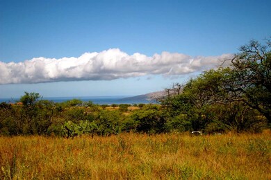 South Shore Views