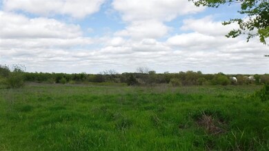 0 County Road 4196, Decatur, TX 76234 - photo 5