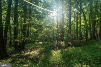 0 Pioneer Ln unit 1001901964, Boyce, VA 22620 - photo 6