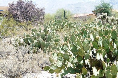 Via Entrada (3)