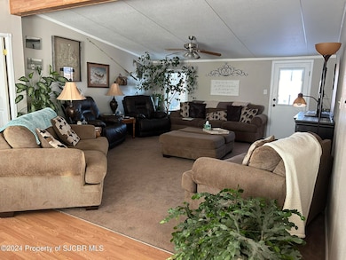 44 Road 3957, Farmington, NM 87401 - photo 2