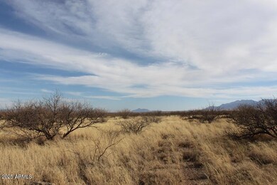 IMG_9190