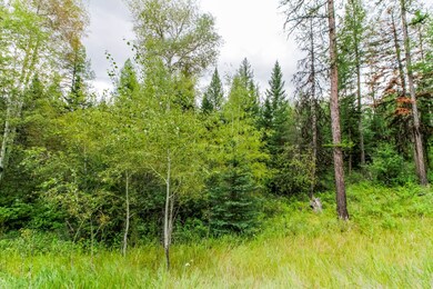 468 Haskill Ranch Rd, Kila, MT 59920 - photo 7