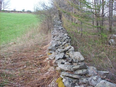 0 Bidwell Hill Rd unit GSB14864, Lake Ariel, PA 18436 - photo 6