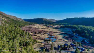 8 Cr 1320 --, Greer, AZ 85927 - photo 7