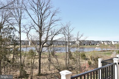 25009 Cambridge Hill Terrace, Chantilly, VA 20152 - photo 3