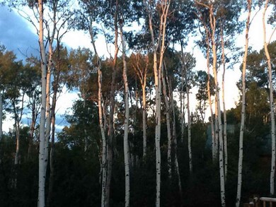 14392 Parkview Dr, Collbran, CO 81624 - photo 3