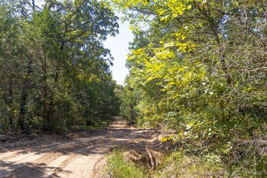 17500 County Road 3762, Coalgate, OK 74538 - photo 3