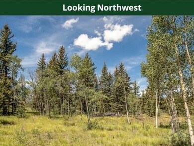 520 Rawhide Dr, Como, CO 80432 - photo 7