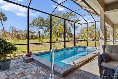 Screened 8'x20' Cocktail Pool w/ Seating, Salt Sys