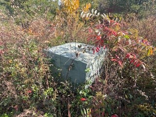 Lot 5 Jay Bird Trail, Franklin, NC 28734 - photo 4