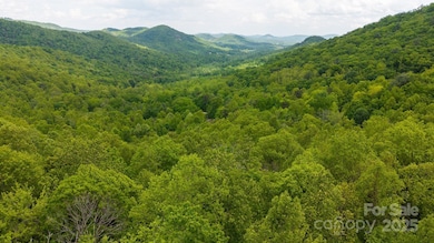 0 Cove Gap Rd unit Offering 1, Moravian Falls, NC 28654 - photo 4