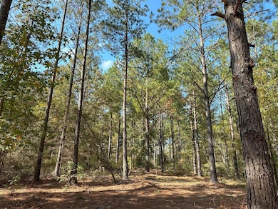 50 Hearthstone Dr, Carlton, GA 30627 - photo 2