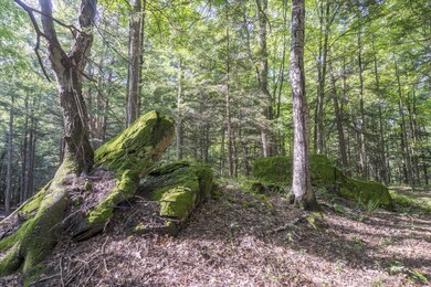 MOSS COVERED ROCKS