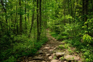 _DSC3791